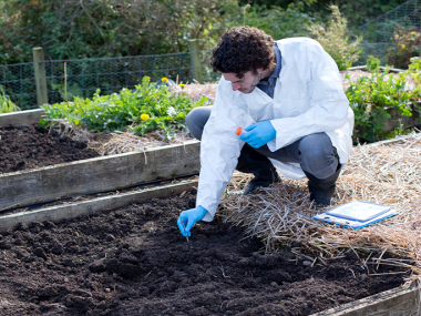 Pesticides Testing