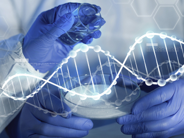 Pharmacopoeia Drug Testing (Montmorillonite, Aripiprazole, Nateglinide)