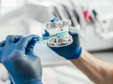 Bioceramic Materials