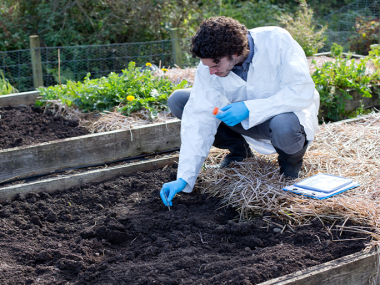 Soil Heavy Metals